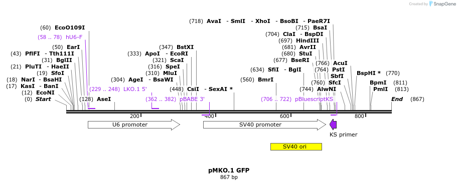 135607_map