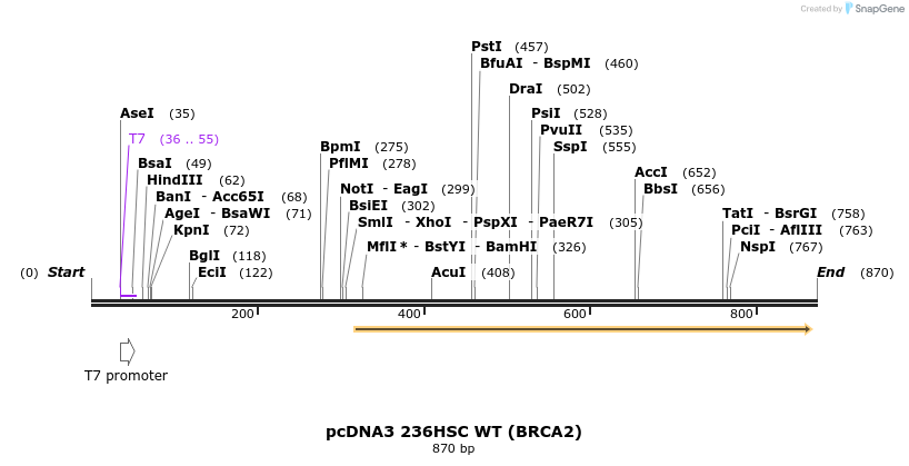 135608_map