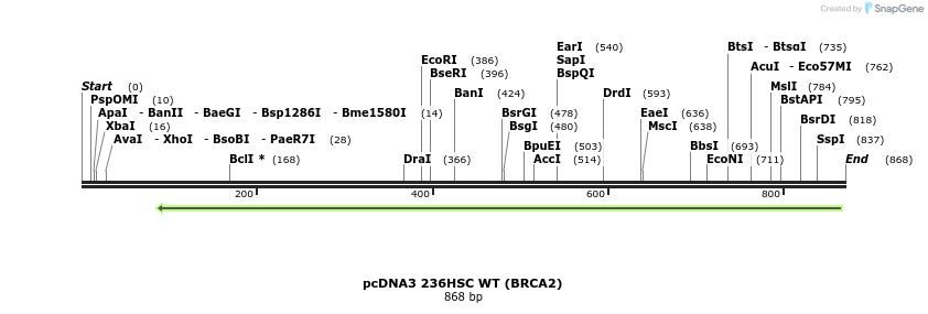 135610_map
