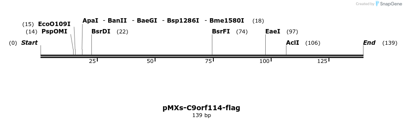 135619_map