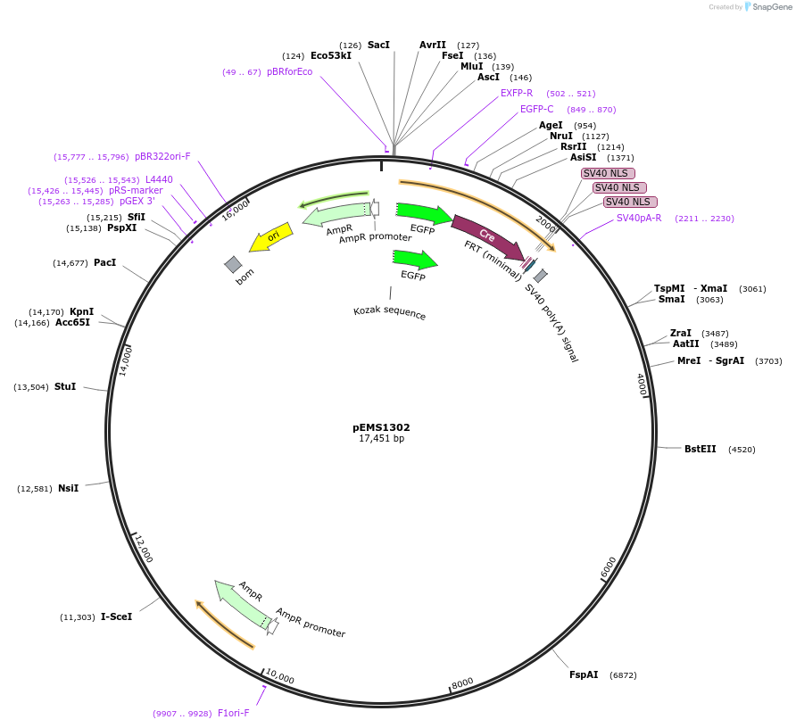 13562_map