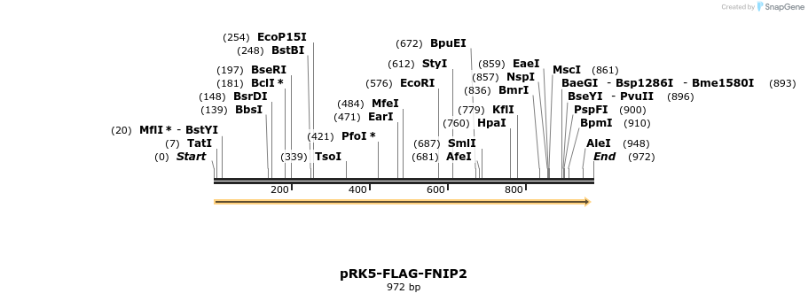 135625_map