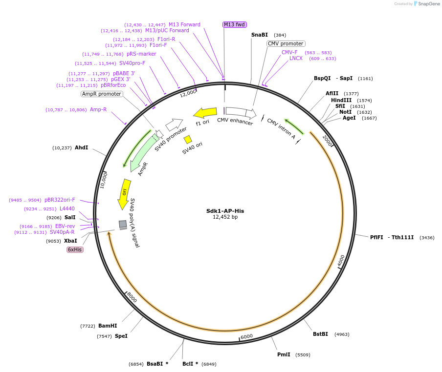 135630_map