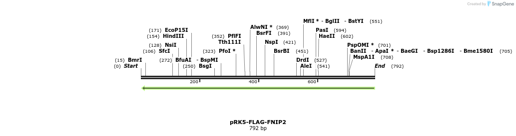 135632_map