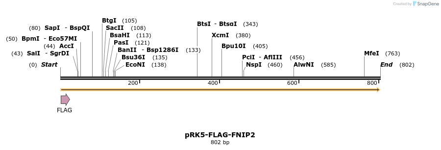 135634_map