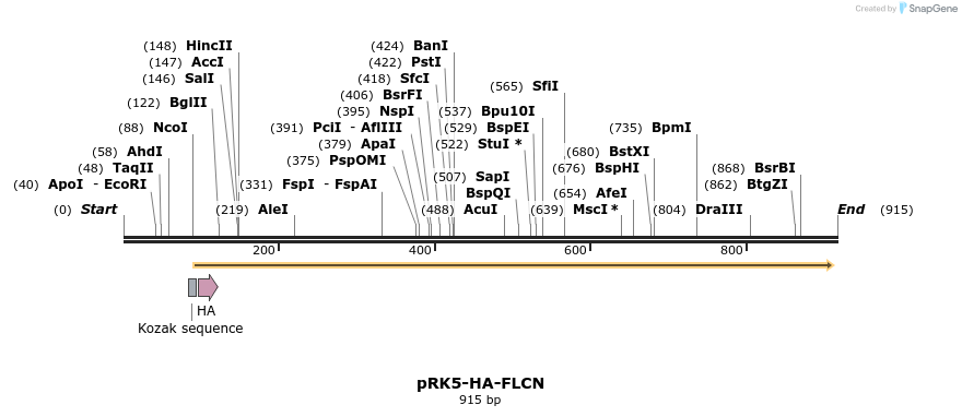 135637_map