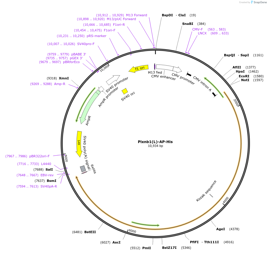 135640_map
