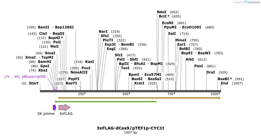 135651_map