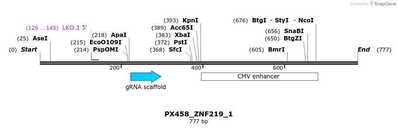 135652_map