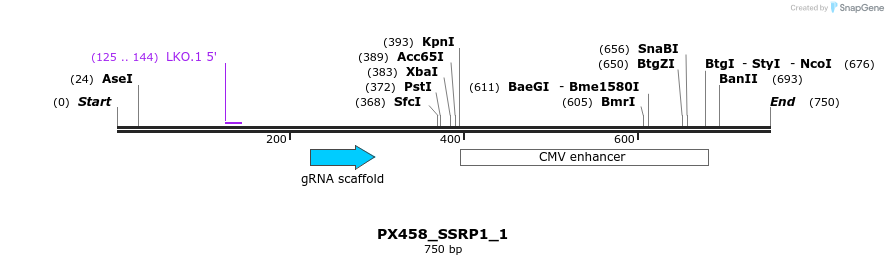 135660_map