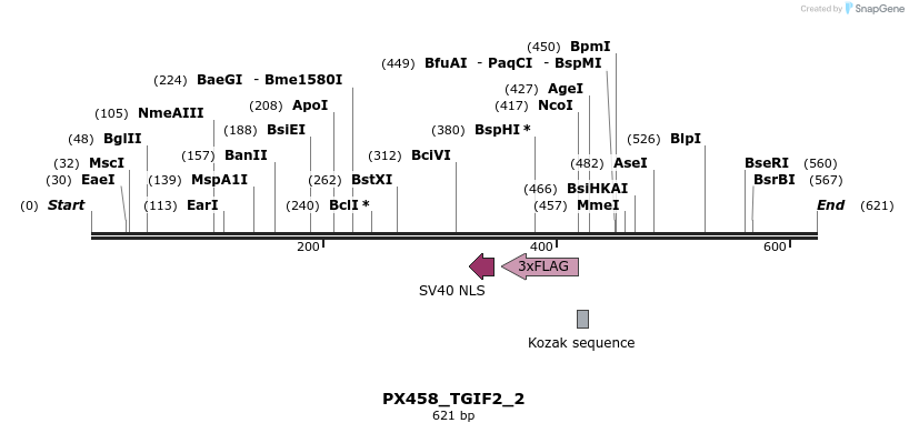 135661_map