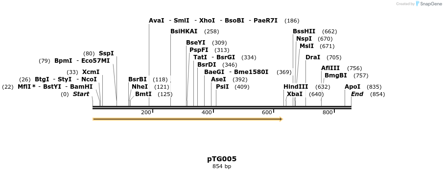 135663_map
