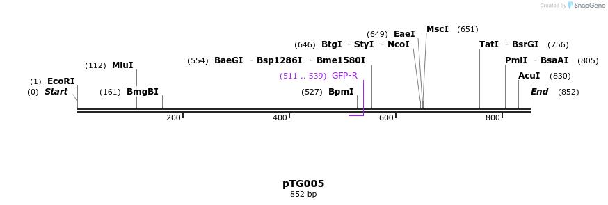135664_map
