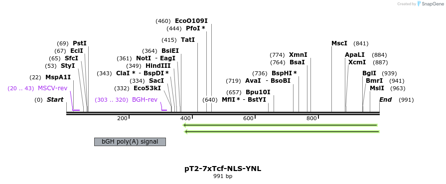 135667_map