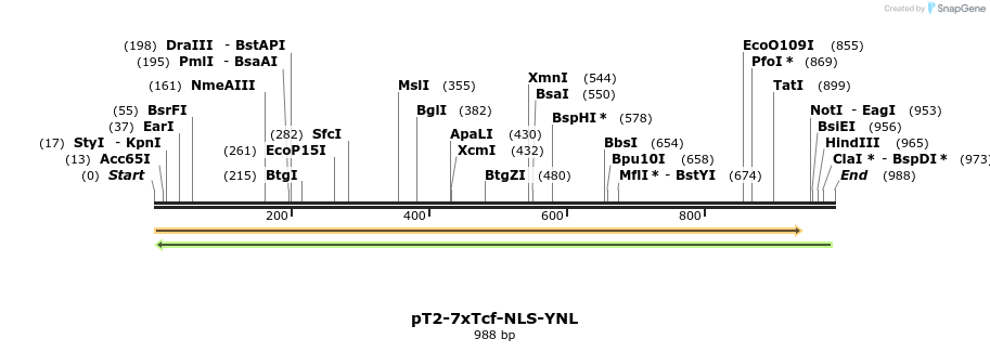 135668_map