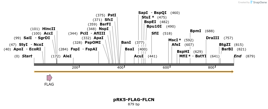 135670_map