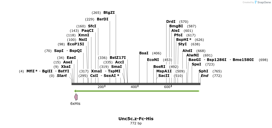 135672_map