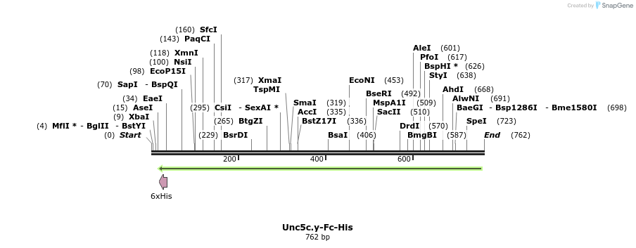 135673_map