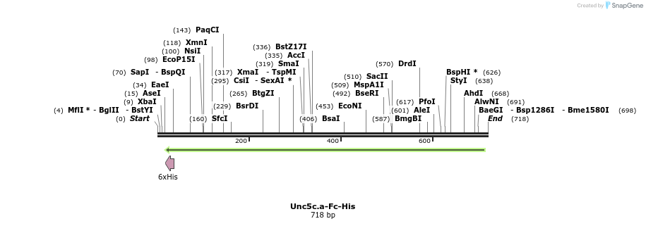 135675_map