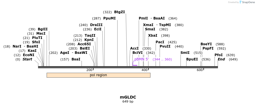 135676_map