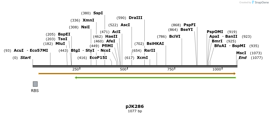 135678_map