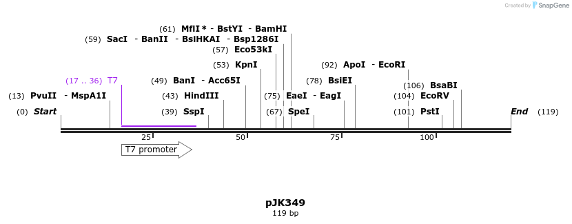 135691_map