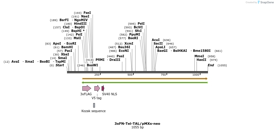135693_map