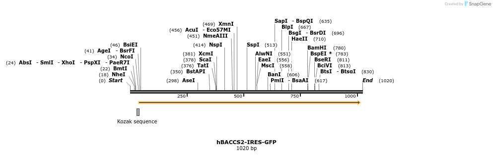135695_map