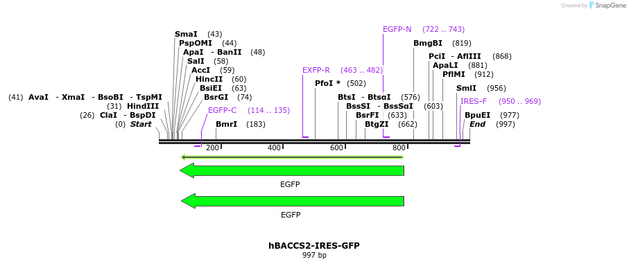 135696_map