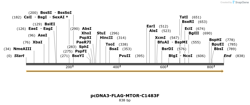 135697_map