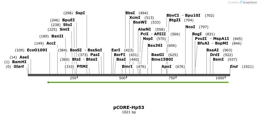 135699_map
