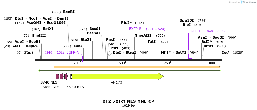 135717_map