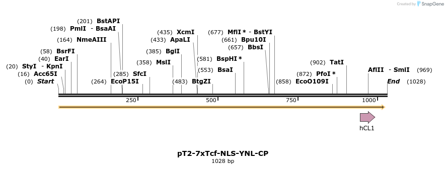 135719_map