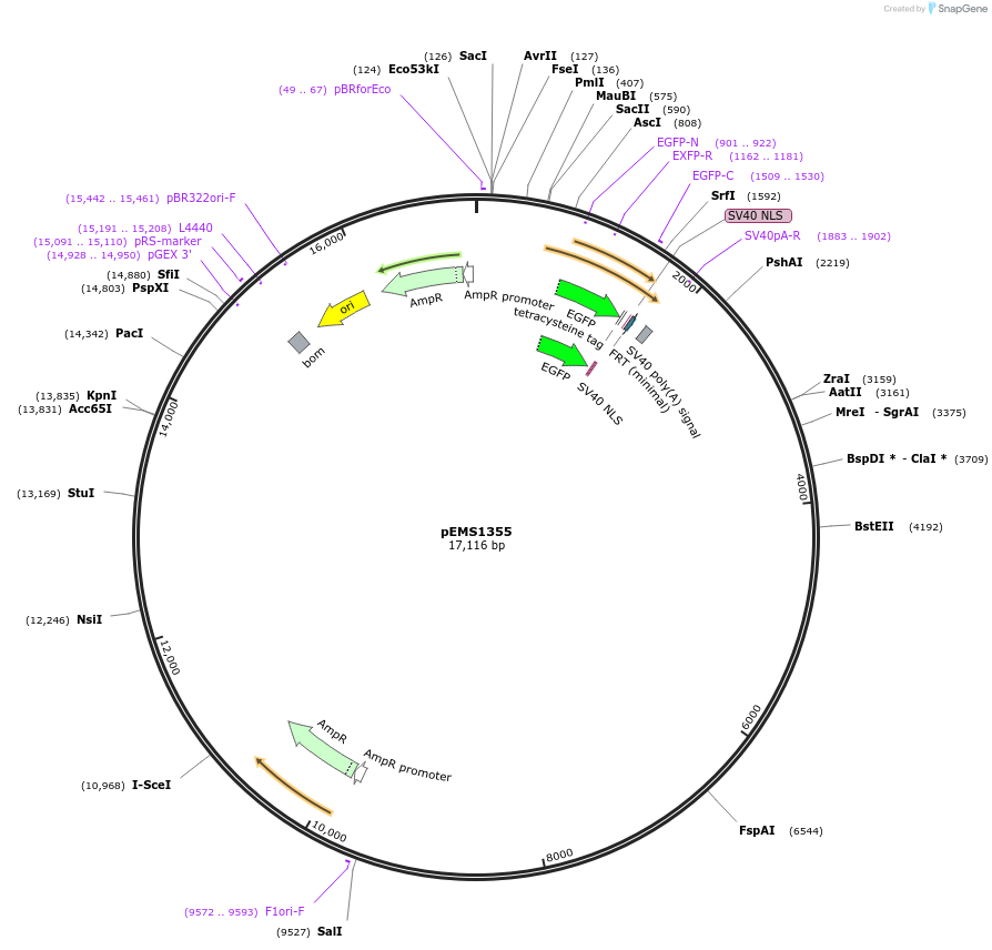 13572_map