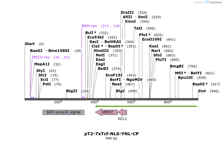 135722_map
