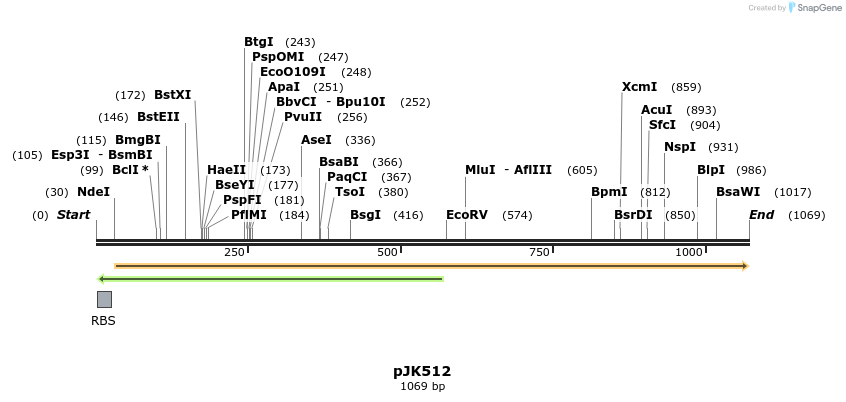 135729_map