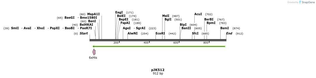 135730_map
