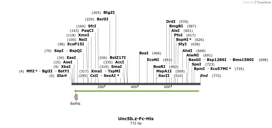 135737_map