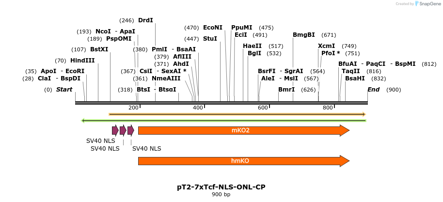 135745_map