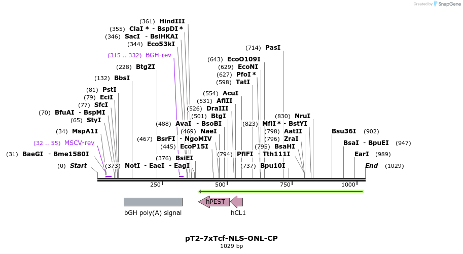 135747_map