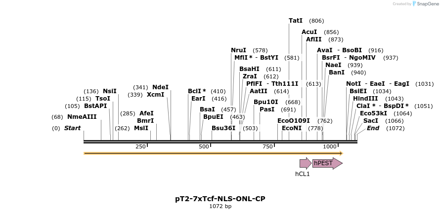 135749_map
