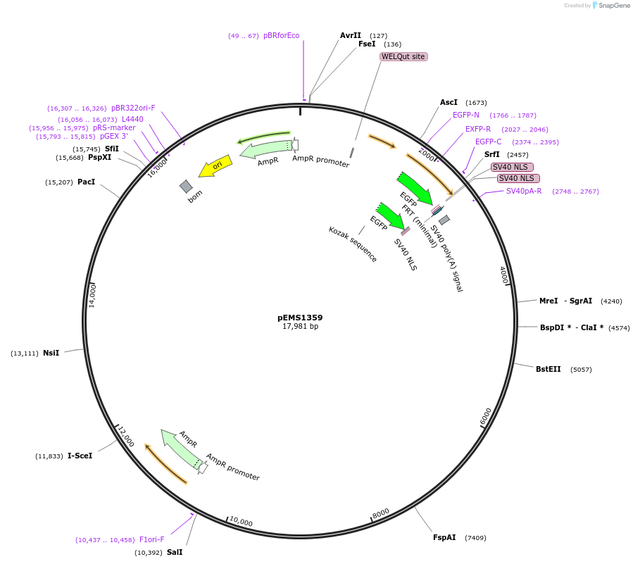 13575_map