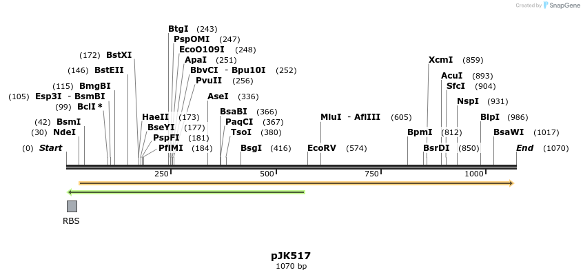 135750_map