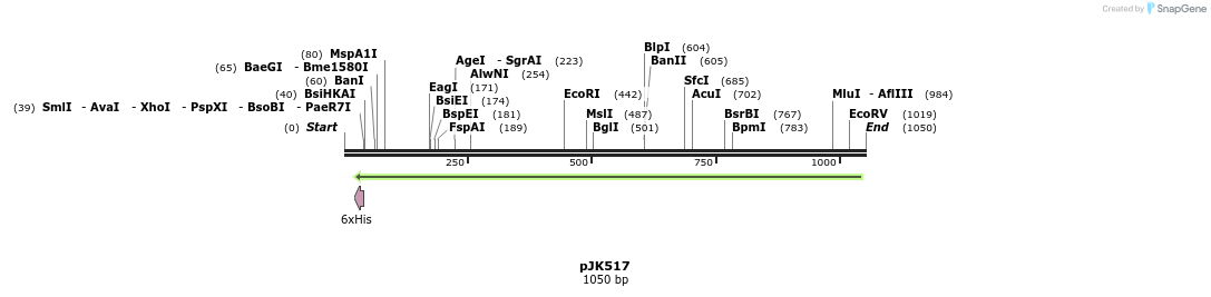 135751_map