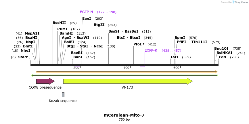 135752_map