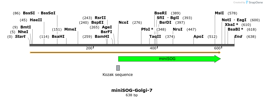 135758_map
