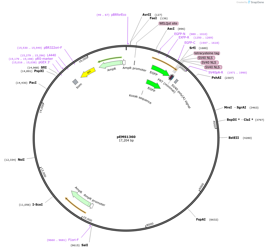 13576_map