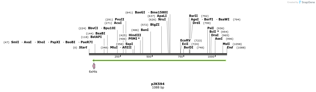 135761_map