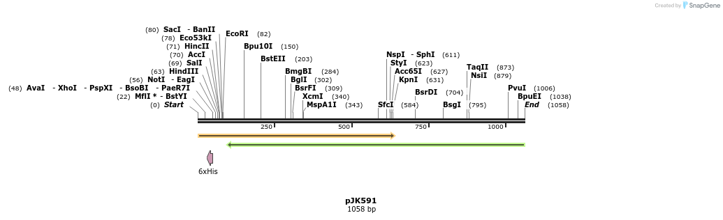 135764_map