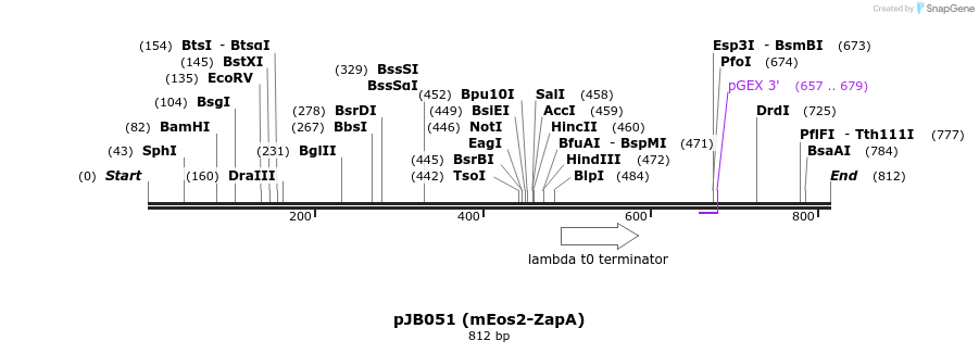 135768_map